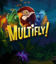 Multifly